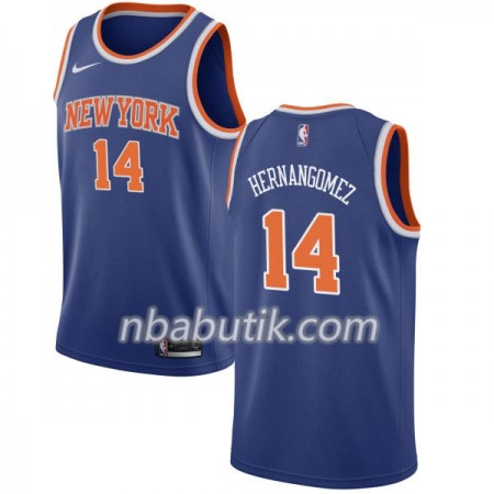 NBA Mænd Trøje New York Knicks Willy Hernangomez 14 Nike 2017-18 Blå Swingman NBA Mænd Trøje New York Knicks Willy Hernangomez 14 Nike 2017-18 Blå Swingman